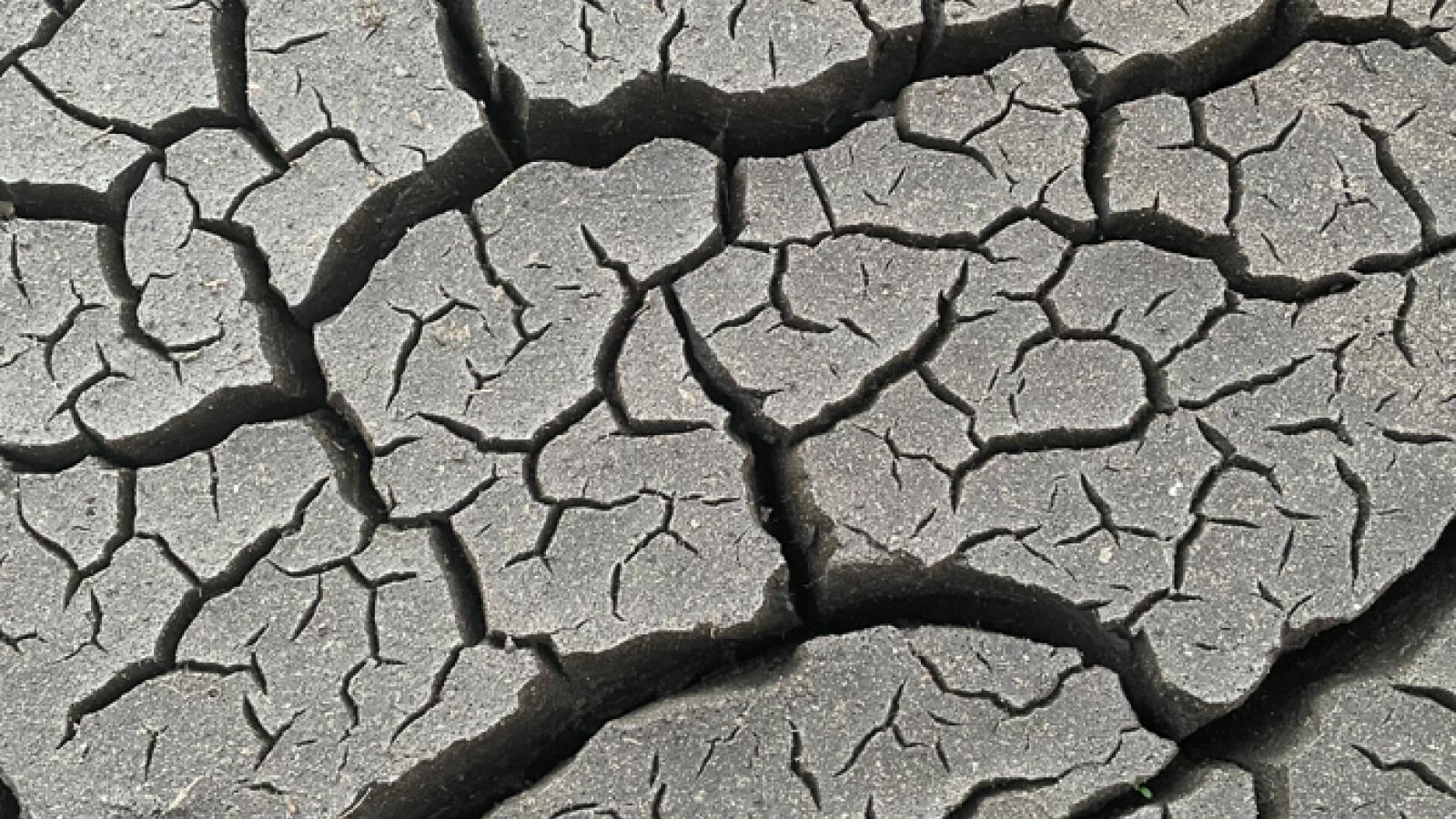 Closeup of dried mud