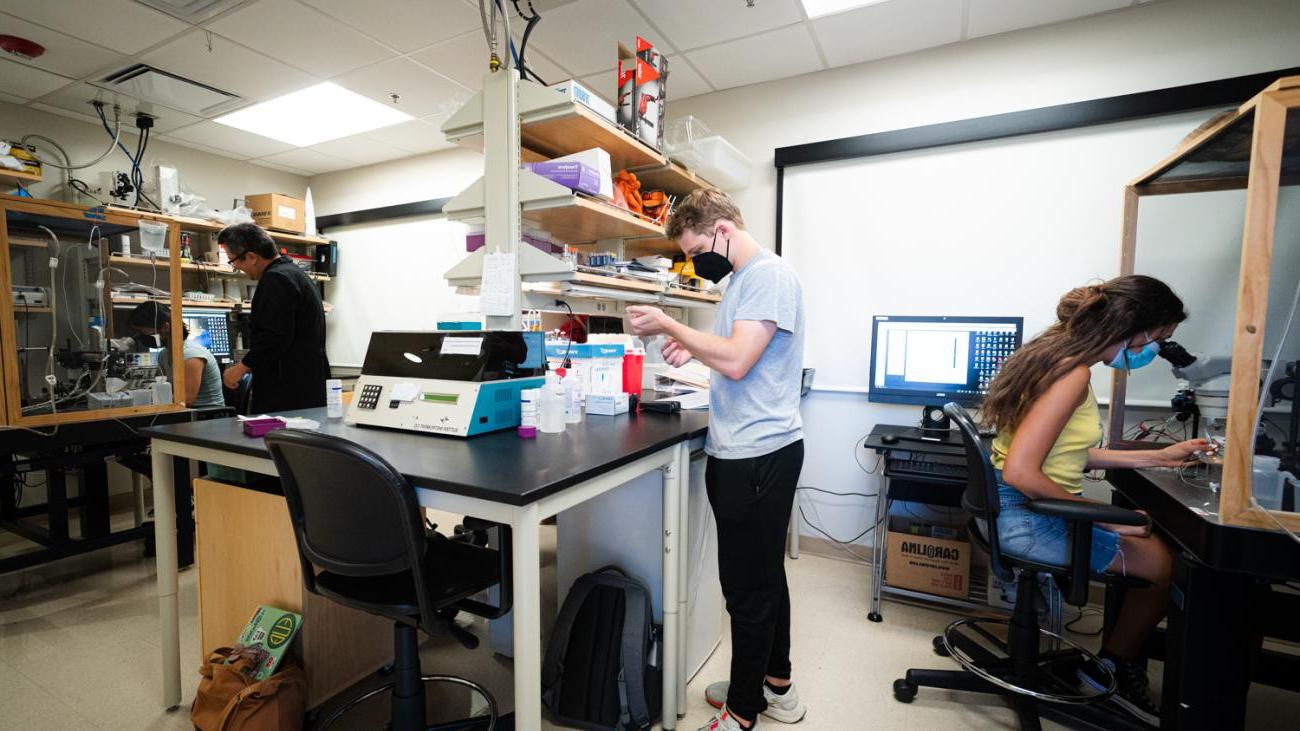 Three students work with Professor Jonathan King in a neuroscience lab.